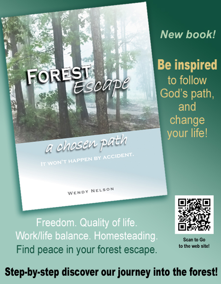 Forest Escape a chosen path book